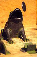 juego de la rana