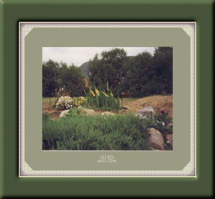 Garden Green Mat Framed
