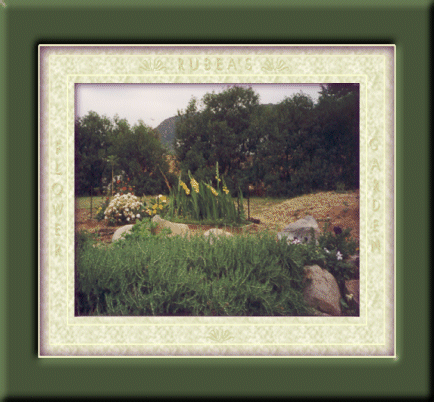 Garden With Mat & Frame