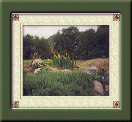 GARDEN MATTED FRAME 4