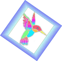 HUMMING BIRD IN A FRAME
