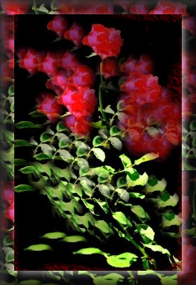 FRAMED ROSE