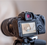 Fotografía