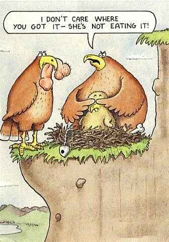 /user/bird.jpg