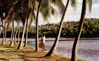 Kerala - Backwater