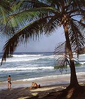 Boasting some of India�s finest beaches, Kerala offers surf and sand like no other place. The beaches have a character unique to them due to the wide acres of sumptuous palm groves bordering them. Kovalam beach is known as 'Paradise of the South' and welcomes thousands of toursits every year.