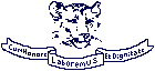 Simba Primary, Ndola