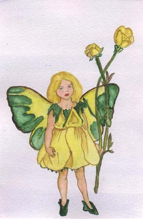 Buttercup