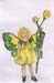 buttercup