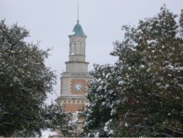 It snowed