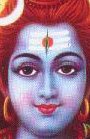 link to Shivji's website