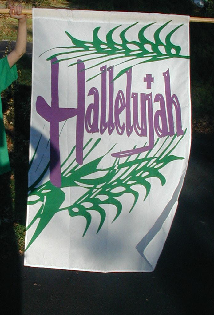 Beautiful Palm Sunday flag
