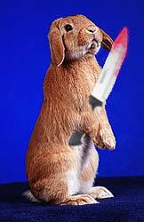 Wanted for Bunnycide