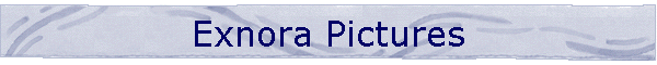 Exnora Pictures