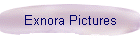 Exnora Pictures