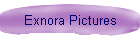 Exnora Pictures