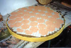 pads.jpg (33410 Byte)