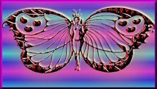 butterfly plaque