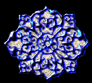 Shape