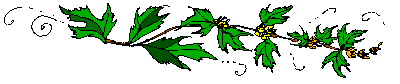 horiz5.gif (3409 bytes)