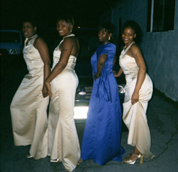 All these Asses