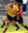Dan Herbert