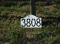 ruggybear006005.jpg