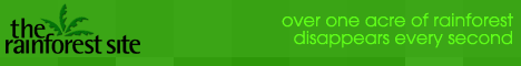 Click here to save the rainforest. It's free!