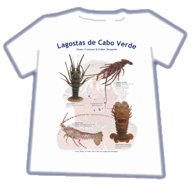 T-Shirt Stamp - Lagostas de Cabo Verde. Fotos e Design: Rui Freitas.
