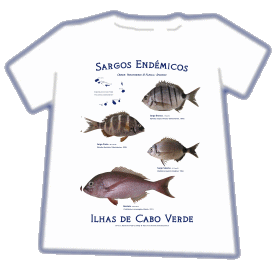 T-Shirt Stamp - Sargos End�micos de Cabo Verde. Fotos e Design: Rui Freitas. Clique, est� em duas l�nguas.