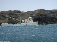 Sinagoga, barco do Projecto OFCF/INDP em opera��o de pesca na costa Este de Santo Ant�o.