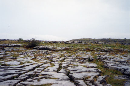 The Barren Burren