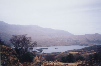Ladies' View