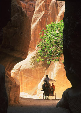 Petra gulley