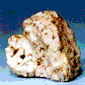 http://www.geocities.com/runcit/avail