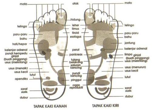 .....to stimulate reflex points and nerve endings on the bottom of the feet to offer improvements to general well being, .......