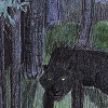 'Deep of Night'