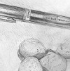 Pen & Chinese Longan