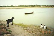 Bangladesh002.jpg