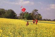 Bangladesh004.jpg