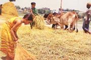 Bangladesh005.jpg