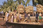Bangladesh006.jpg
