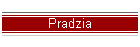 Pradzia