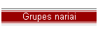 Grupes nariai