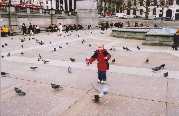 Damon chasing pigeons