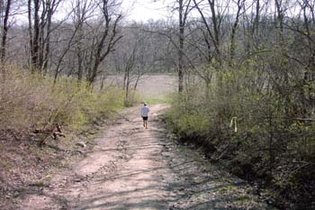 Image007