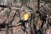 Image014