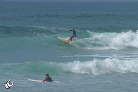 www.sortedboardriders.co.uk