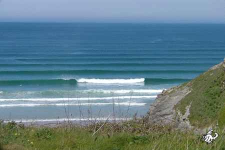 www.isurfing.com
