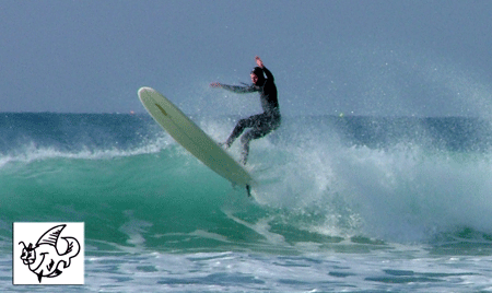 www.beachwizard.co.uk